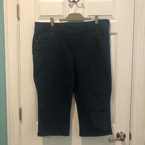 Intro Stretch Denim Capris Women's Size 18W